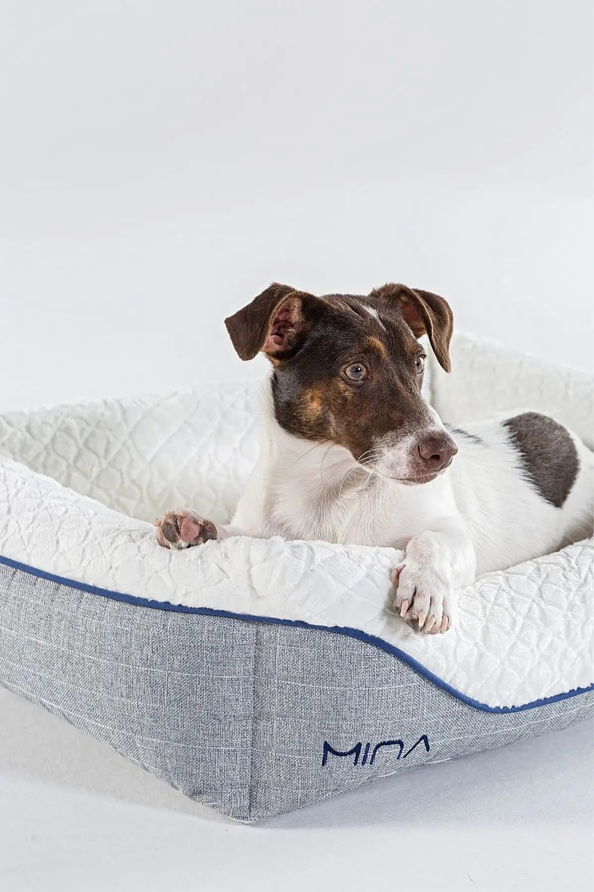 Mina Pet-Bed