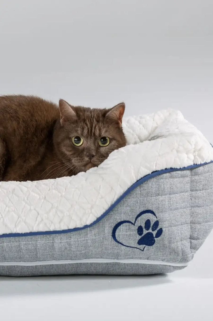 Evcil hayvan için konforlu Mina Pet Bed