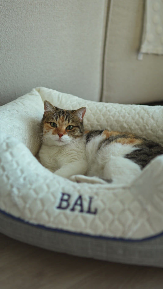 Mina Pet-Bed